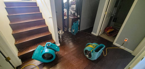 Best Water damage contractors near me  in Corcoran, CA