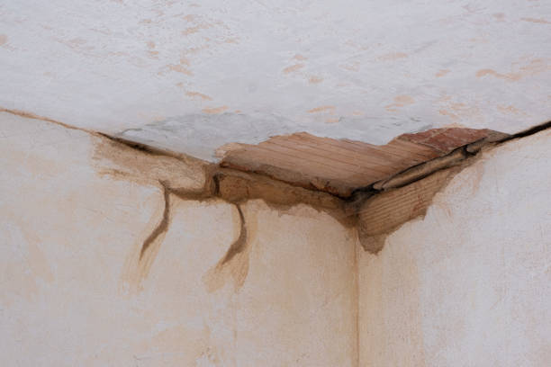 Best Water damage cleanup near me  in Corcoran, CA