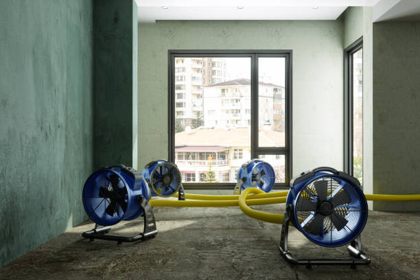 Best Residential water damage restoration  in Corcoran, CA
